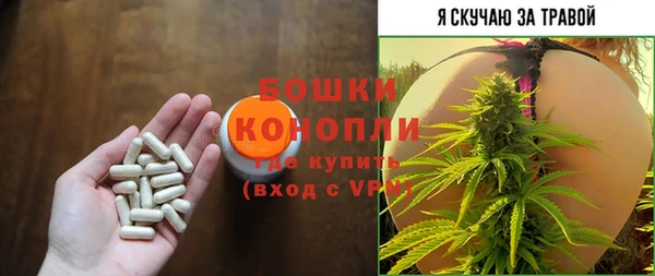 дмт Магас