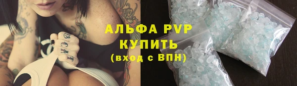 дмт Магас