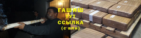 дмт Магас
