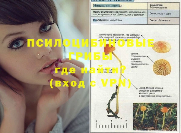 герыч Майский