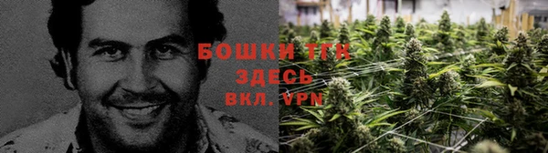 СК Магадан