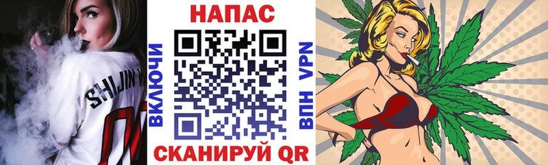 Конопля гибрид  Плёс 